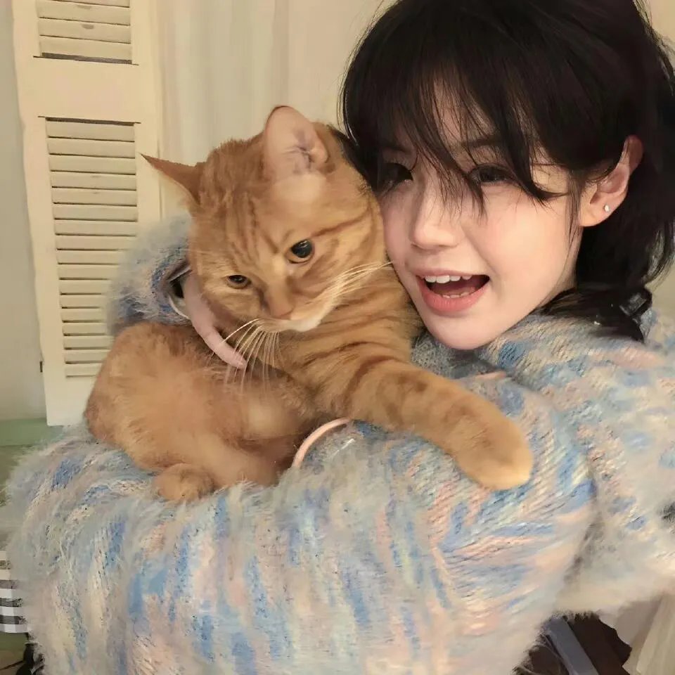 太子要吃鱼,谁把丞相族谱送来了